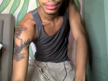 blackbulltitus