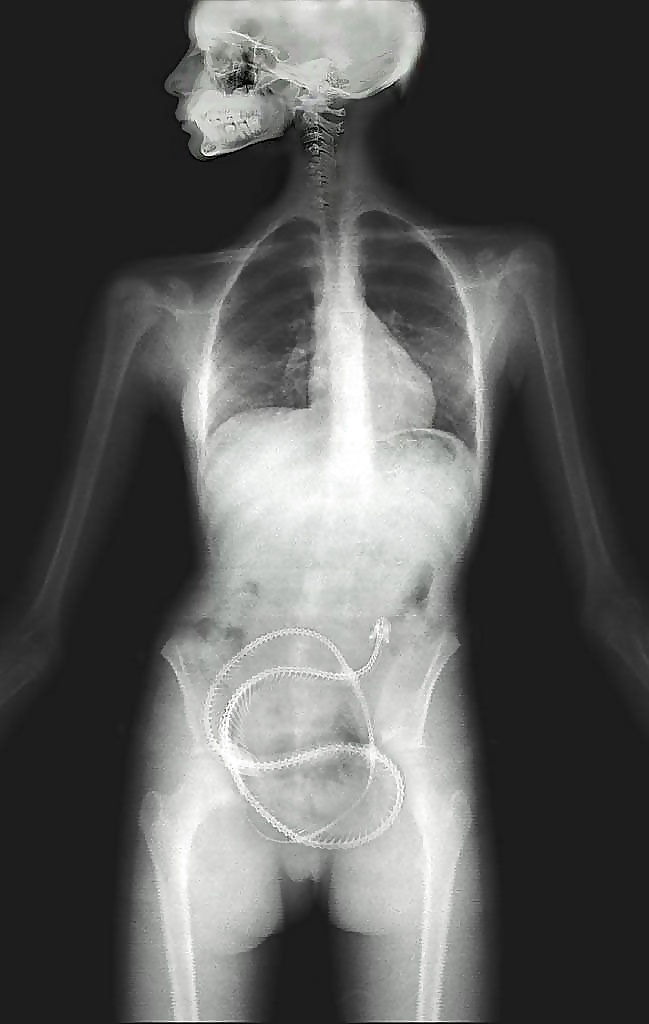 Funny Sex Crazy — 13